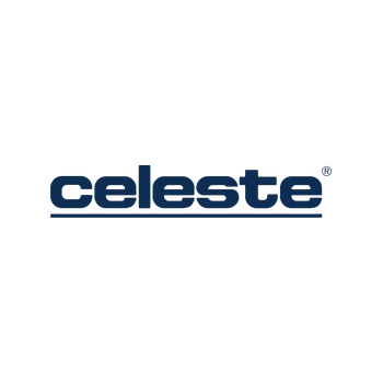 Deep Cleaning Sponge - Celeste Industries Corporation